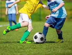 西安国际足,球中心草皮,铺设完成,半岛体育平台,半岛体育官方网站,半岛体育登录入口,半岛体育app下载