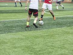 西安国际足,球中心草皮,铺设完成,半岛体育平台,半岛体育官方网站,半岛体育登录入口,半岛体育app下载