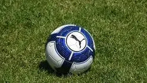 半岛体育 资讯 114524 wgv