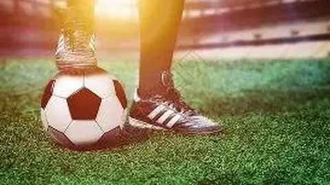 半岛体育 产品 114311 fkw