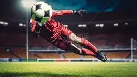 半岛体育 资讯 114304 cr6