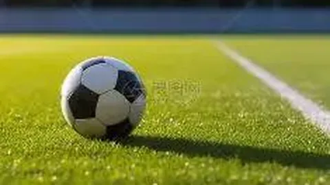 半岛体育 产品 113754 or3