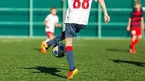 半岛体育 产品 113738 3mf