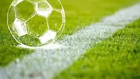 半岛体育 资讯 113545 2b6