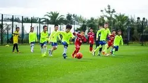 半岛体育 资讯 114546 rf8