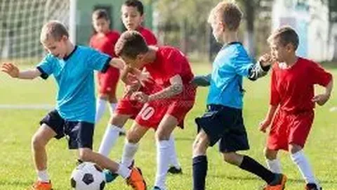 宁波汽车产业链协同发展，整车与零部件齐头并进