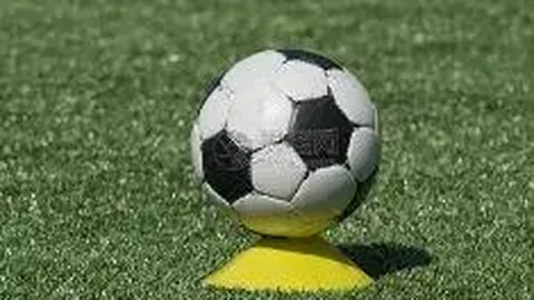 辽宁力克天津，张陈治锋贡献11分9板 付豪得分12分 林庭谦砍下24分7助