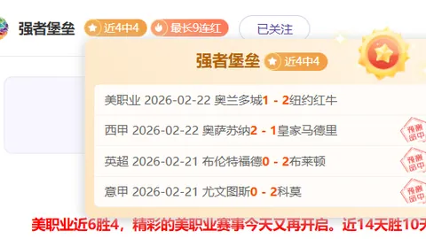 大乐透期号专家推荐：里尔VS阿斯顿维拉悬念解析